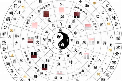 天干代表什麼|详解天干地支